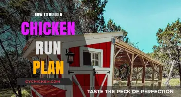 Building the Perfect Chicken Run: A Step-by-Step Planning Guide