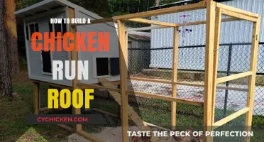 DIY Chicken Run Roof: Easy Steps for Secure Coop Protection