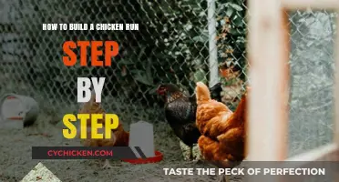 Constructing a Chicken Run: A Step-by-Step Guide