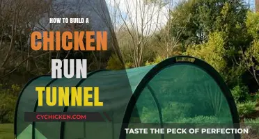 DIY Chicken Run Tunnel: Easy Steps for Safe Poultry Play