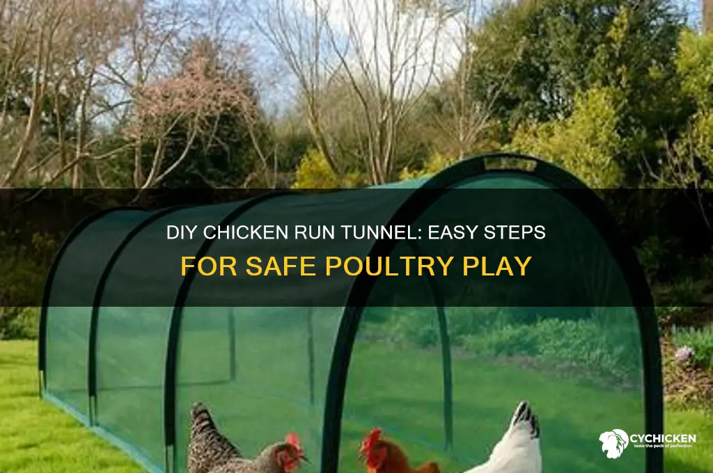 how to build a chicken run tunnel