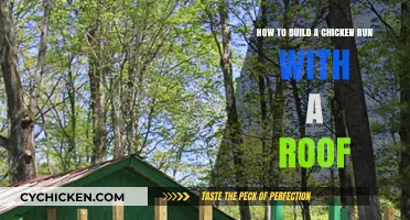Constructing a Rooftop Chicken Run: DIY Guide