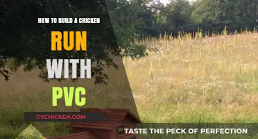 Constructing a PVC Chicken Run: Easy Steps for Beginners