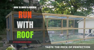 Constructing a Rooftop Chicken Run: A Step-by-Step Guide