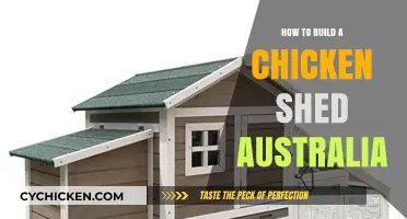 Building a Chicken Shed in Australia: A Step-by-Step Guide