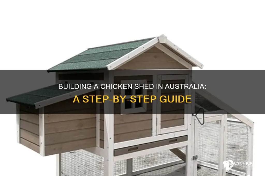 how to build a chicken shed australia