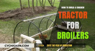 Constructing a Mobile Broiler Chicken Tractor: A Step-by-Step Guide