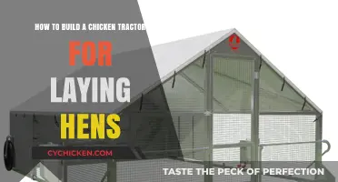 Constructing a Mobile Chicken Tractor for Happy, Healthy Laying Hens