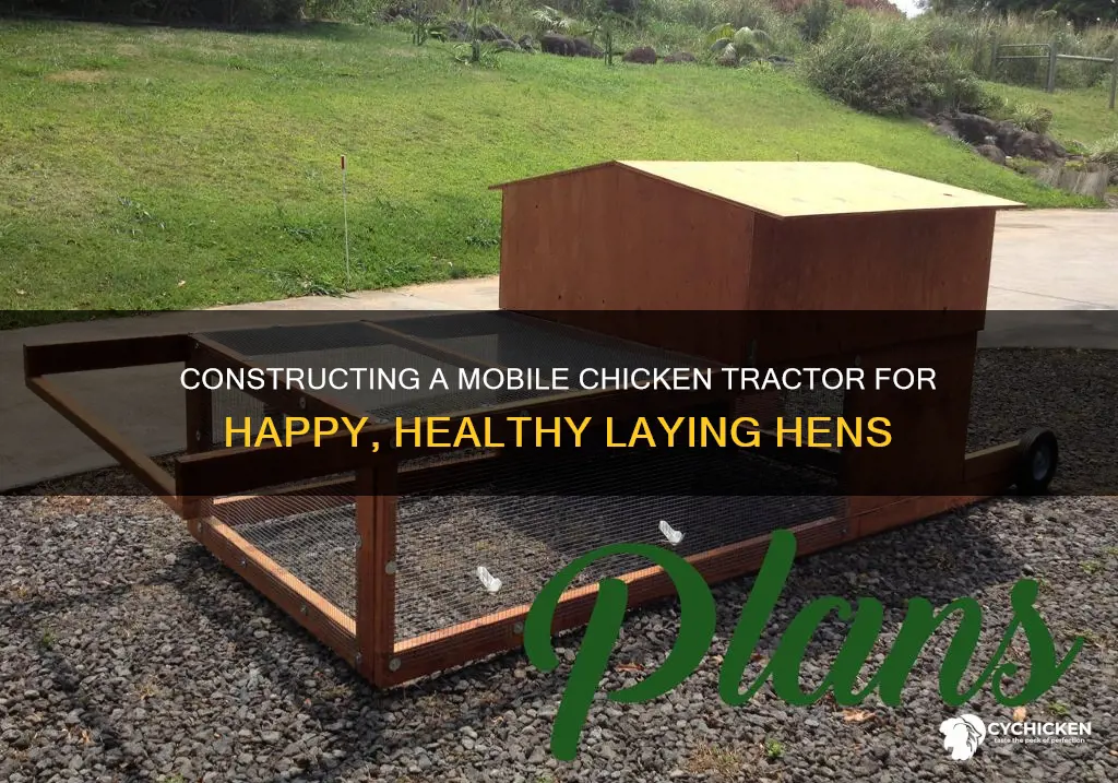 how to build a chicken tractor for laying hens