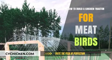 Constructing a Chicken Tractor: Raising Meat Birds