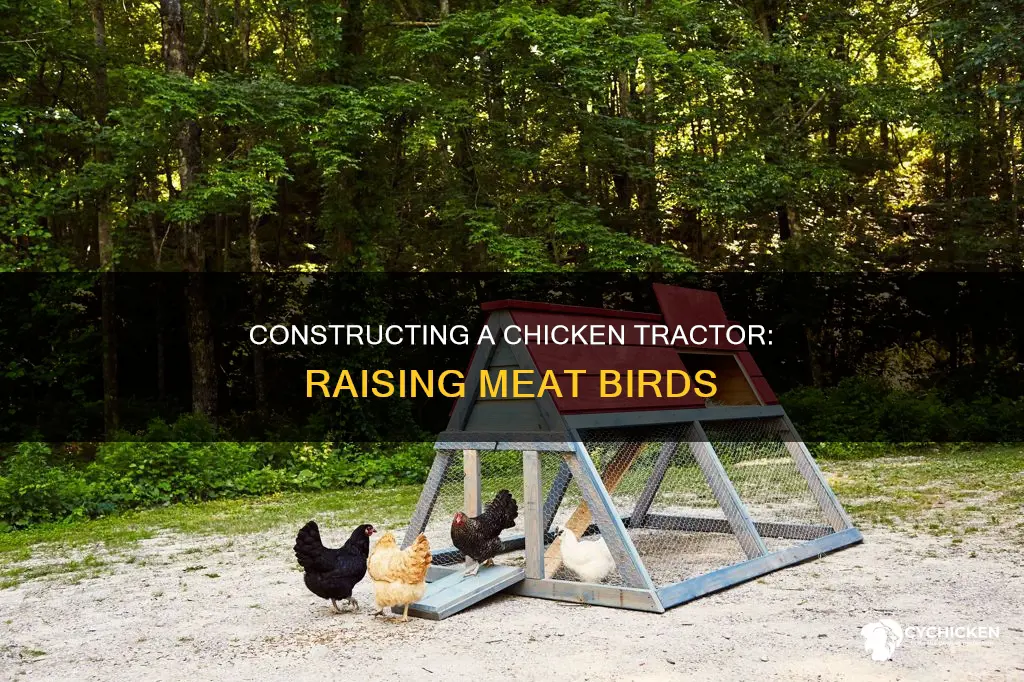how to build a chicken tractor for meat birds