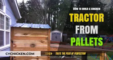 Building a Chicken Tractor: Using Pallets for Coop Construction