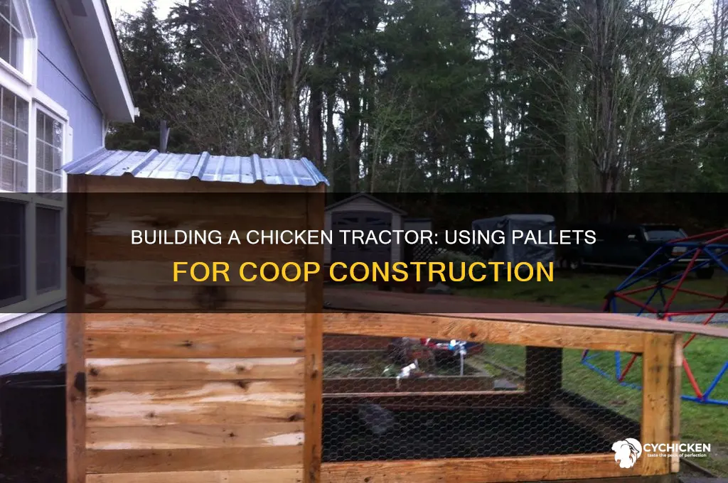 how to build a chicken tractor from pallets