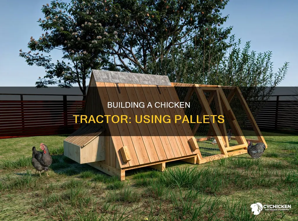 how to build a chicken tractor out of pallets