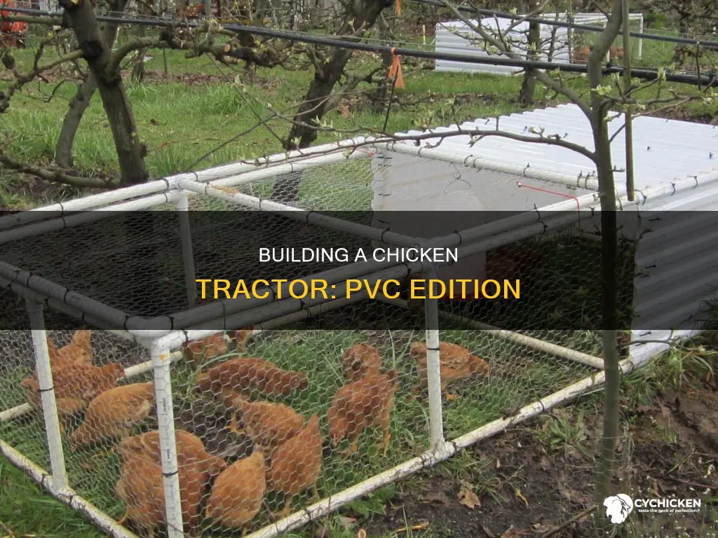 how to build a chicken tractor out of pvc