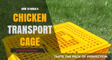 DIY Chicken Transport Cage: Easy Steps for Safe Poultry Travel