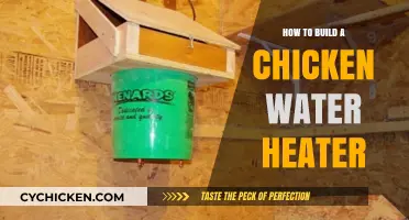 DIY Chicken Water Heater: Keep Your Flock Hydrated in Winter