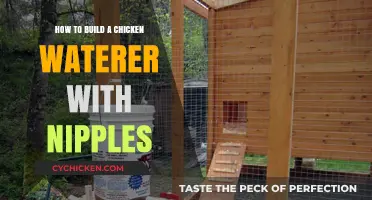 Building a Chicken Waterer: An Easy DIY Project