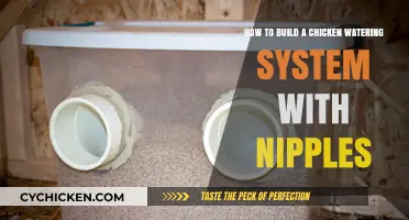 Build a Chicken Watering System: Nipple Setup Guide