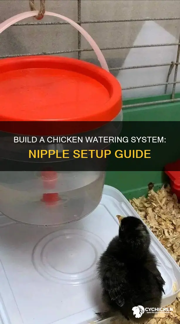 how to build a chicken watering system with nipples