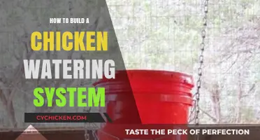 DIY Chicken Watering System: Easy, Efficient, and Affordable Setup Guide