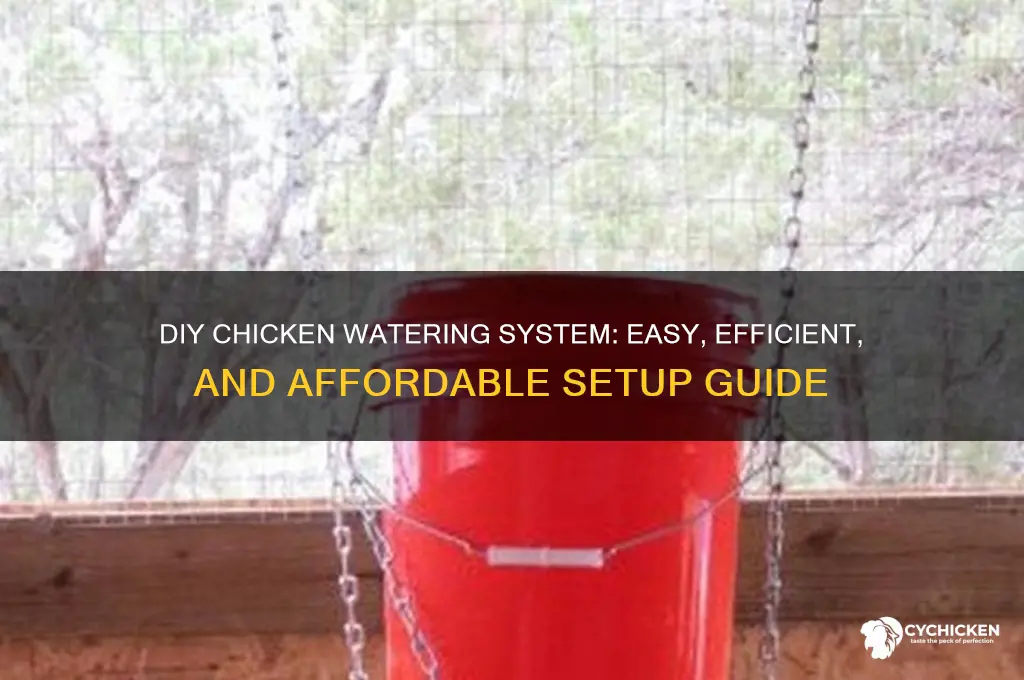 how to build a chicken watering system