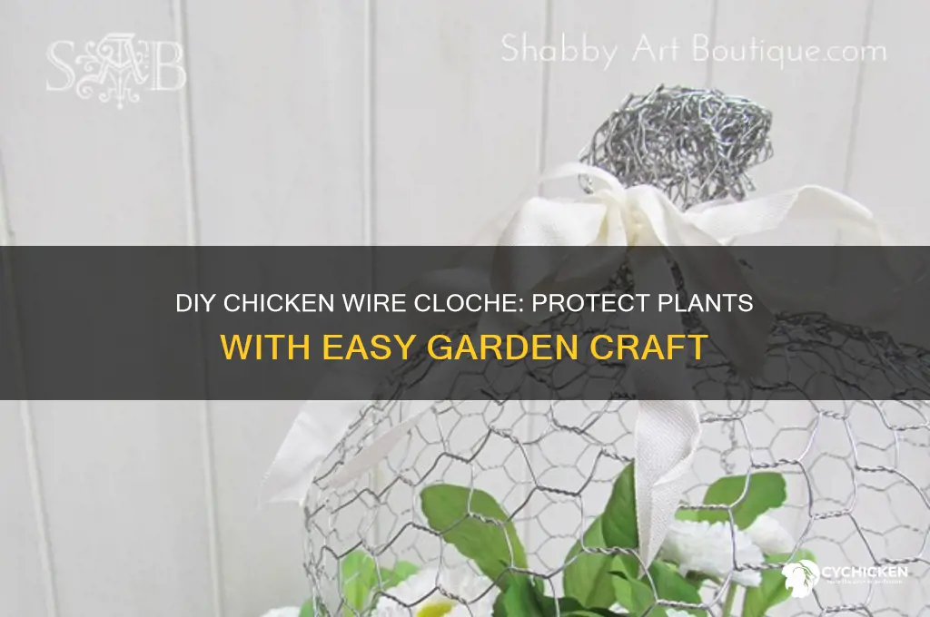 how to build a chicken wire cloche