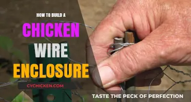 DIY Chicken Wire Enclosure: Easy Steps for Secure Animal Housing