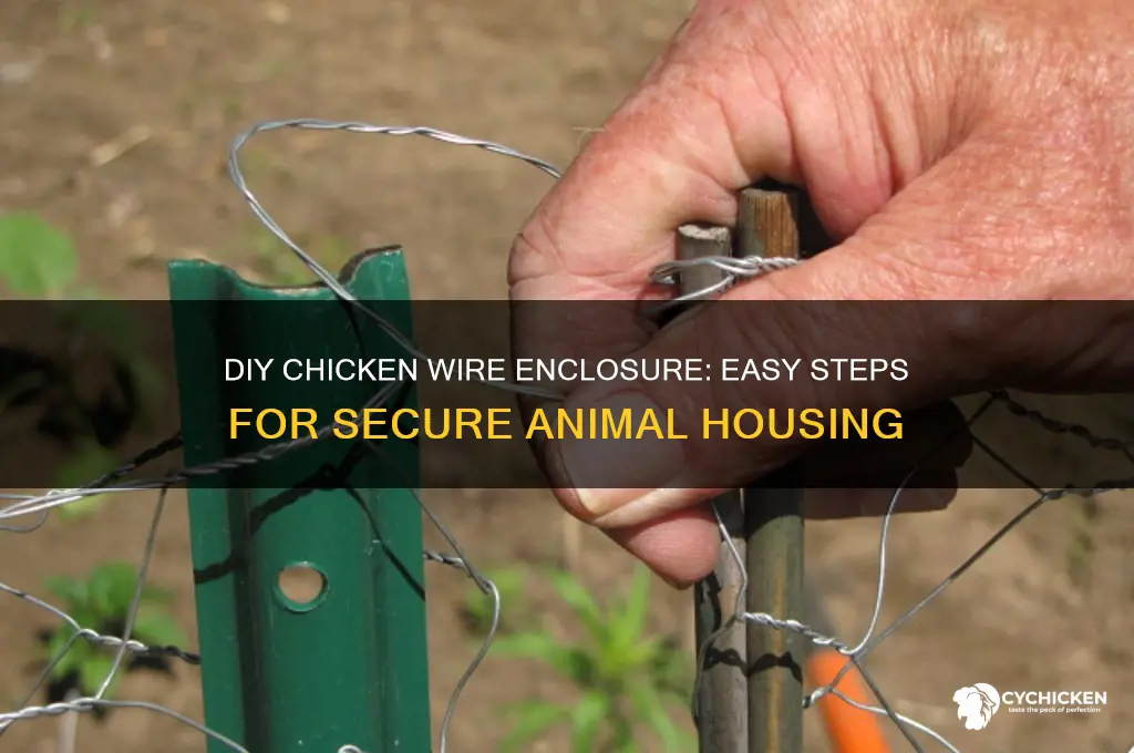how to build a chicken wire enclosure