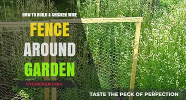 Building a Chicken Wire Fence: Protecting Your Garden