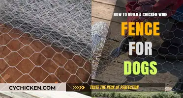Building a Chicken Wire Fence to Keep Dogs Safe