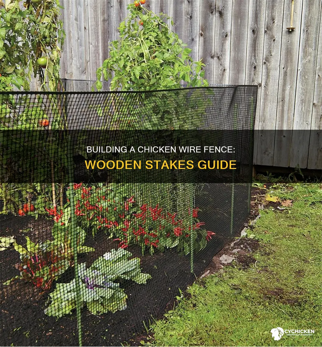 how to build a chicken wire fence with wooden stakes