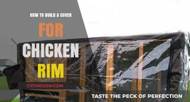 Building a Chicken Coop Cover: DIY Guide