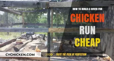 Cheap Chicken Run Covers: DIY Guide