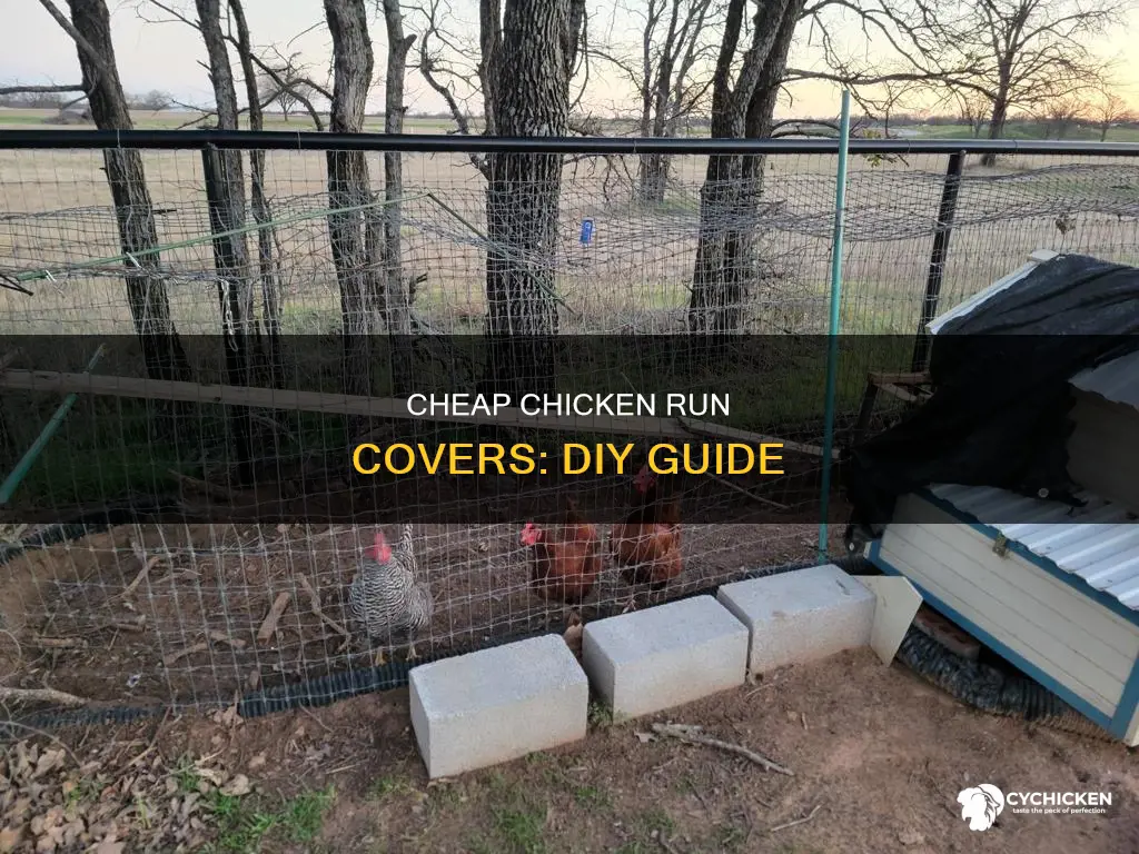 how to build a cover for chicken run cheap
