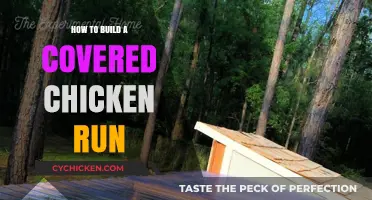 DIY Covered Chicken Run: Easy Steps for a Safe Coop Extension