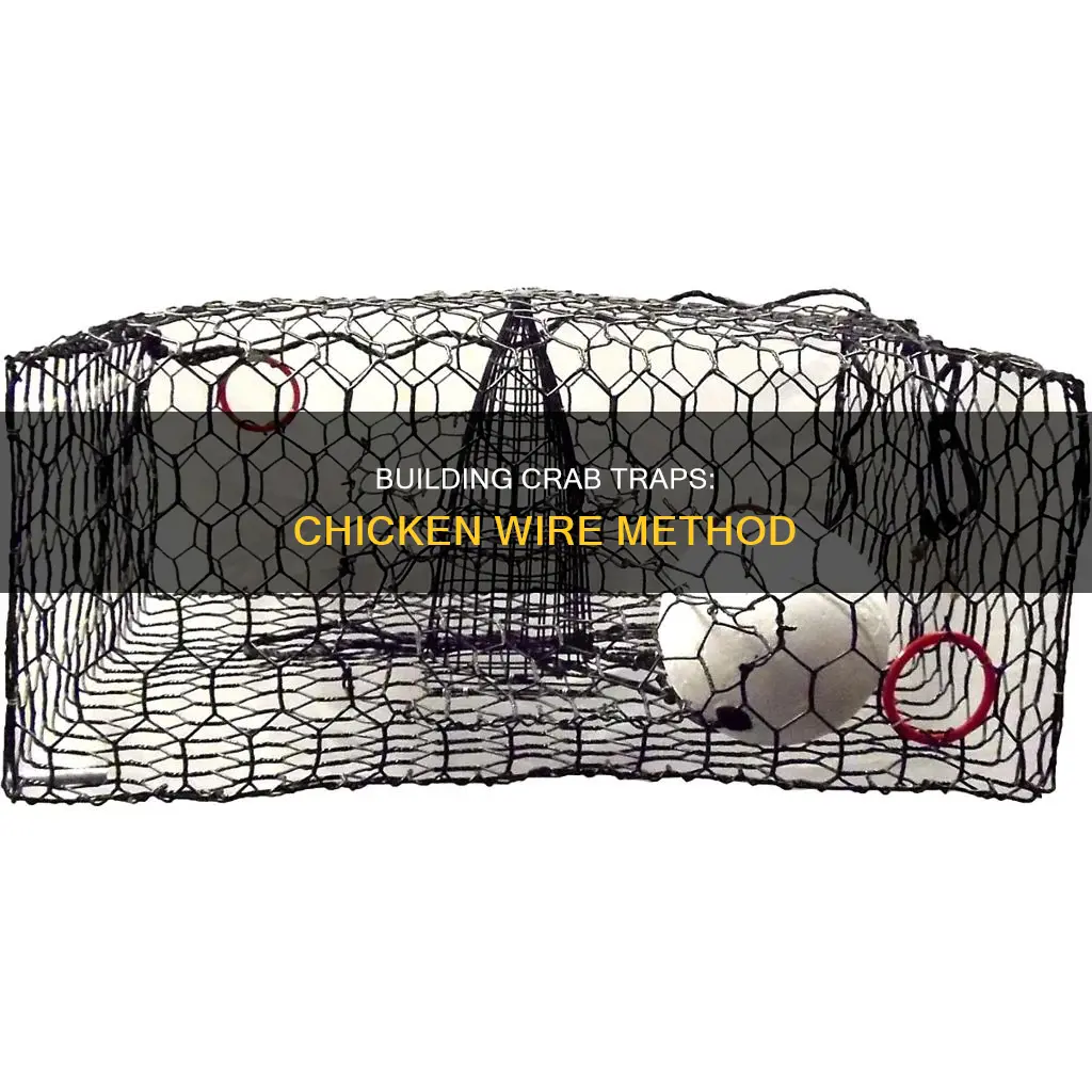 how to build a crab trap with chicken wire