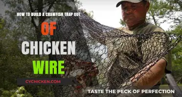 Constructing Crawfish Traps: Chicken Wire Wonders