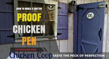 Building a Critter-Proof Chicken Pen: Strategies for Success