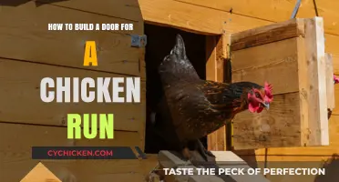 Building a Chicken Run Door: A Step-by-Step Guide