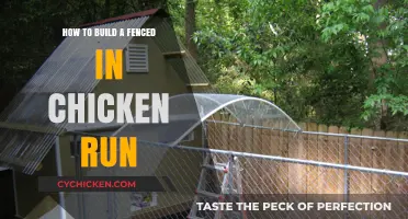 Building a Safe Chicken Run: Fence It In