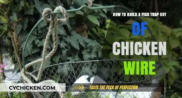 Crafting Fish Traps: Chicken Wire Tricks