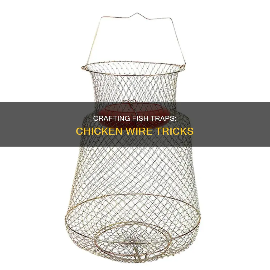 how to build a fish trap out of chicken wire
