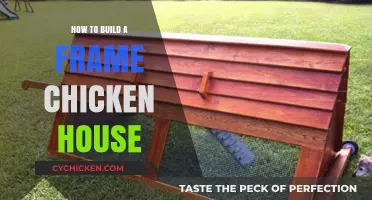 DIY Chicken Coop: Building a Sturdy Frame Chicken House Easily