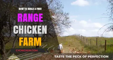 Creating a Free-Range Chicken Farm: A Step-by-Step Guide