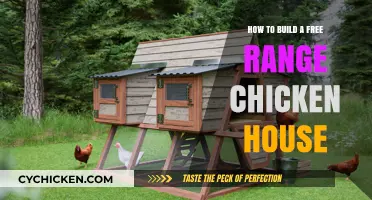 Constructing a Cozy Free-Range Chicken Abode