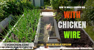 Building a Chicken-Wire Garden Box: DIY Guide