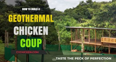 Building a Sustainable Geothermal Chicken Coop: Step-by-Step Guide
