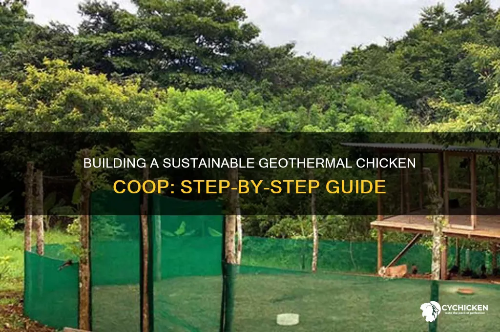 how to build a geothermal chicken coup