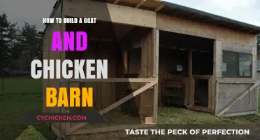 Constructing a Goat and Chicken Barn: A Step-by-Step Guide